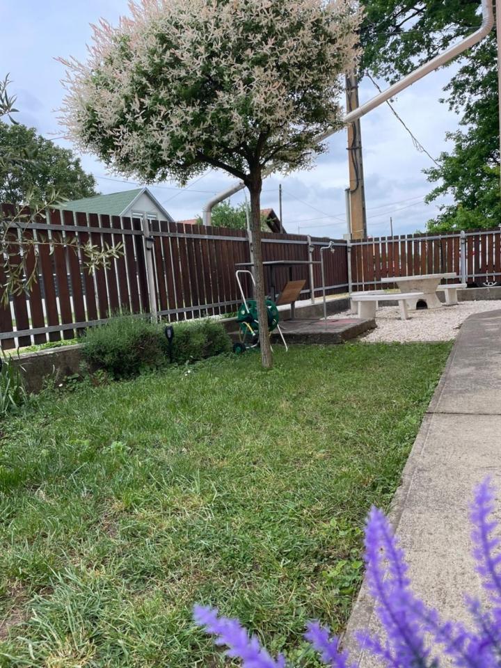 Levendula Vendeghaz Villa Hajdúnánás Exterior foto